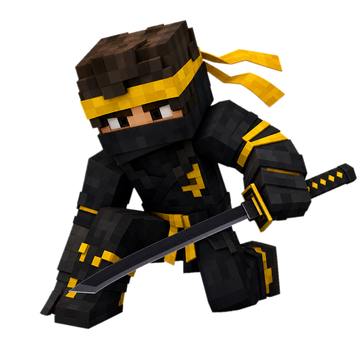 Ninja Mascot